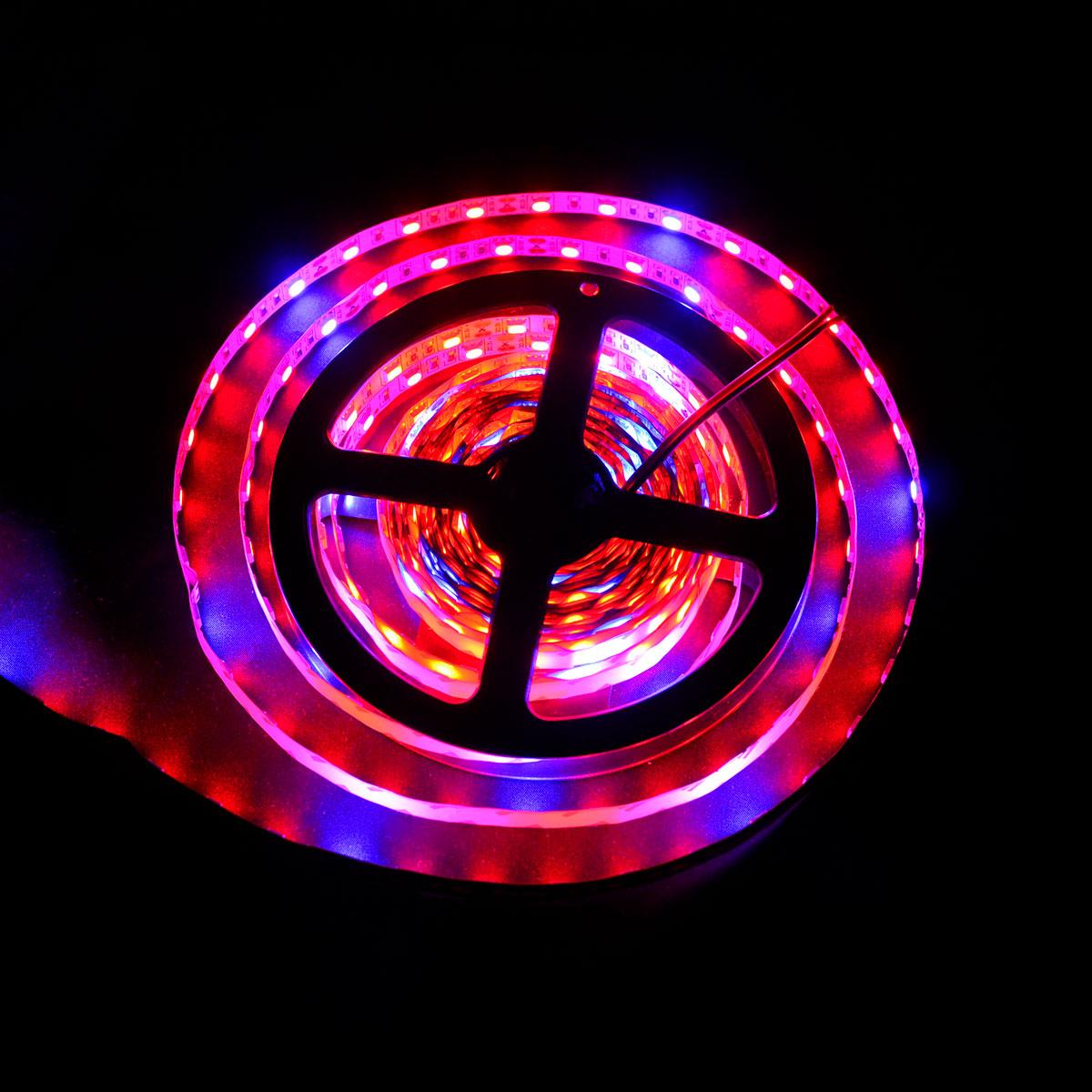 【LED】 Светодиодная фитолента SMD 5050 60д.м. негерметичная купить в ...