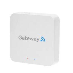 Мультирежимный шлюз-концентратор Zigbee (Wi-Fi + Bluetooth)