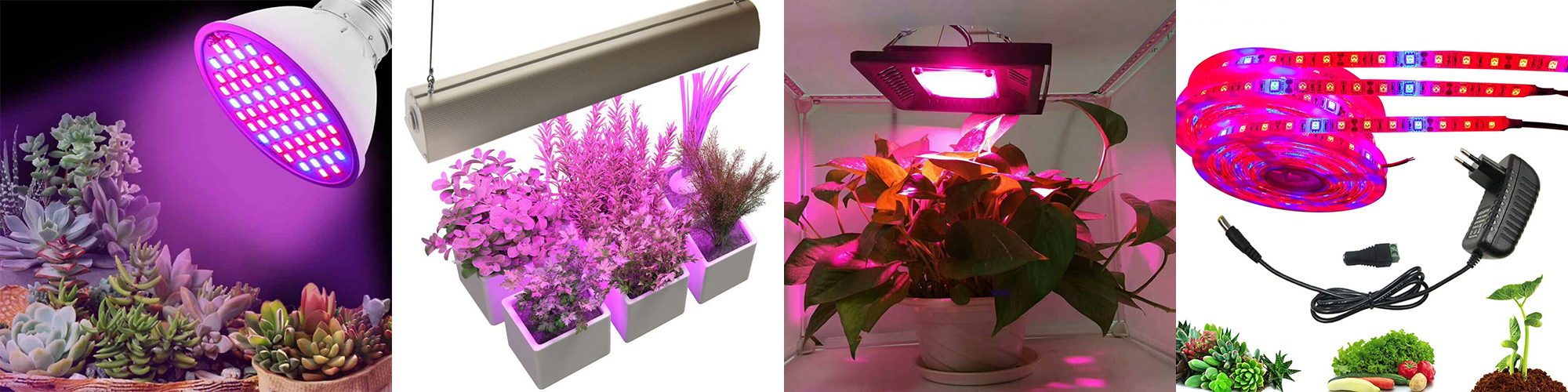 LED лампи для кімнатних рослин