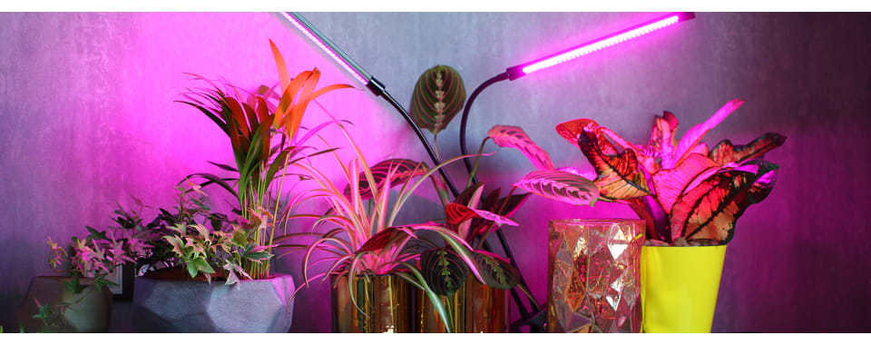світлодіодні лампи для рослин