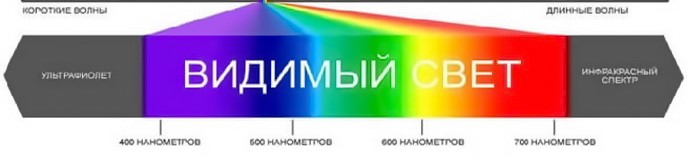 https://ledstorm.ua/image/image/stati/osveschenie-dlja-rastenij-2.jpg